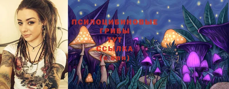 закладки  Нарьян-Мар  Псилоцибиновые грибы Magic Shrooms 